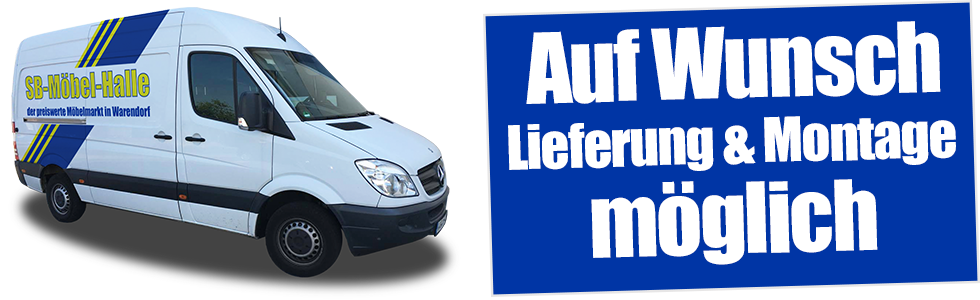 Bulli_Lieferung_und_montage