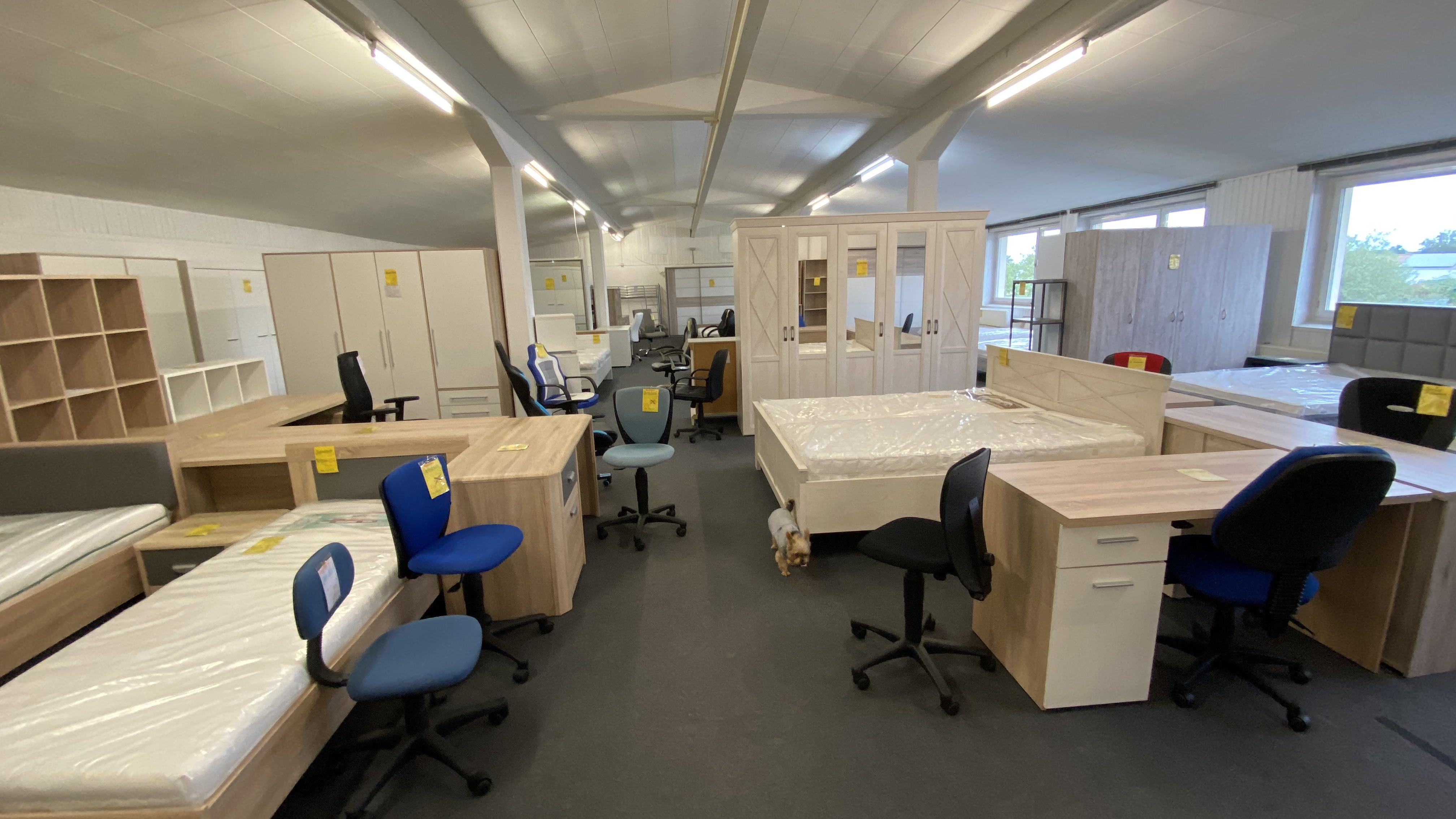 Arbeitszimmer SB Möbel Halle Warendorf